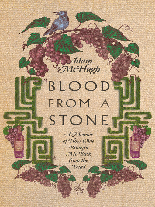 Title details for Blood From a Stone by Adam S. McHugh - Available